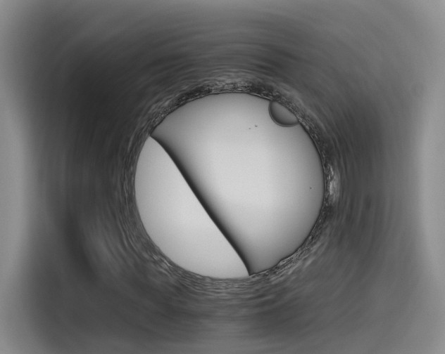 X0000114590819200910191032