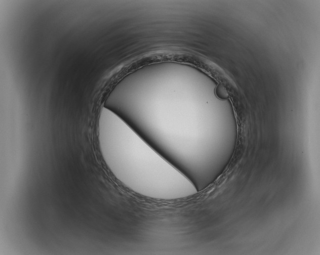 X0000114590822200910191032