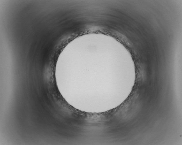 X0000114590824200910191032