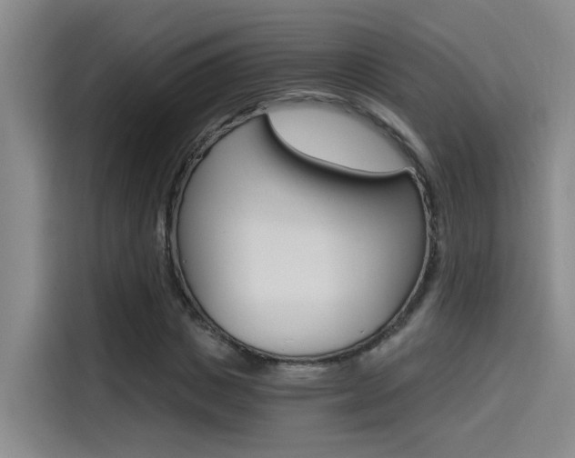 X0000114590825200910191032