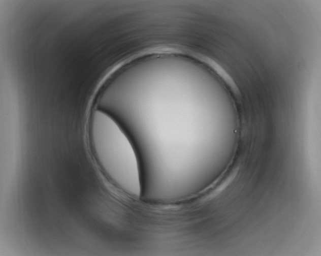 X0000114590837200910191032