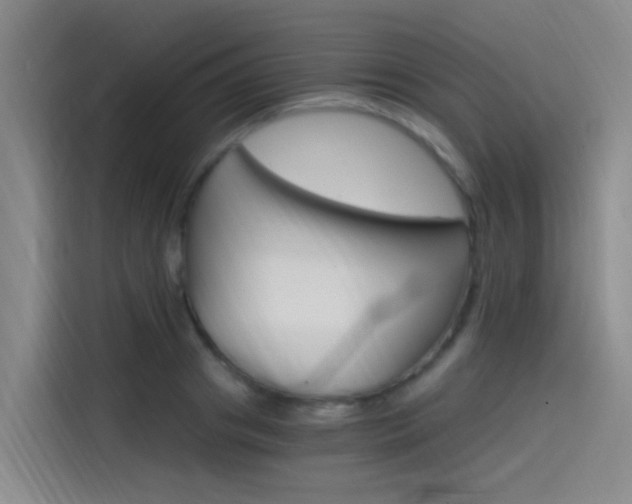 X0000114590841200910191032