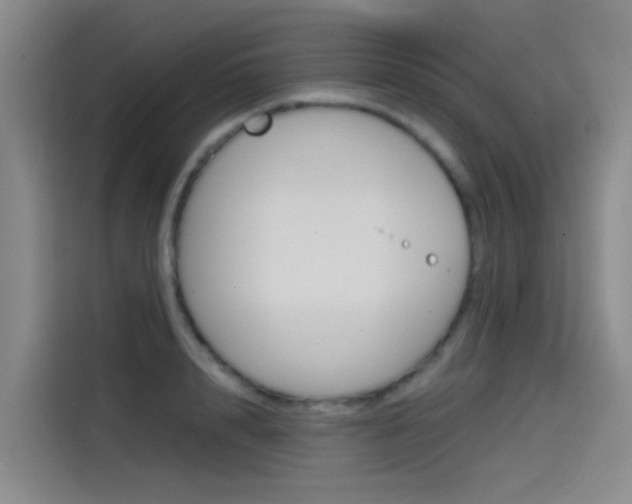 X0000114590848200910191032