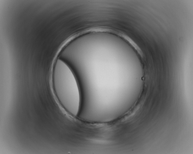 X0000114590853200910191032