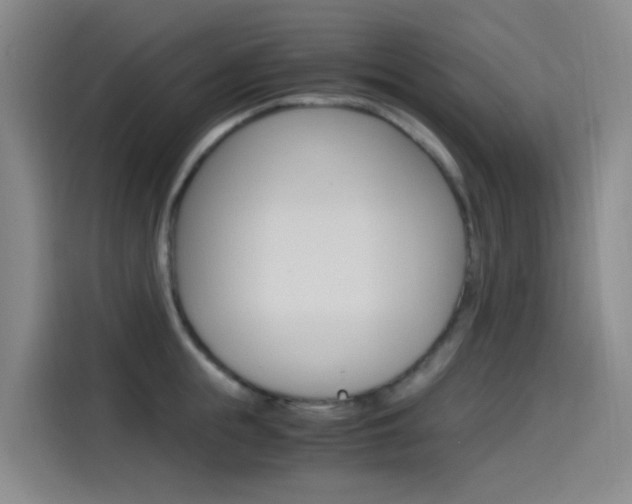 X0000114590855200910191032