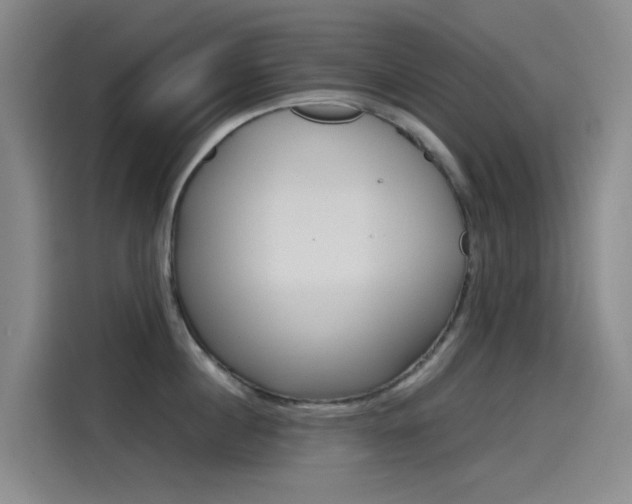 X0000114590860200910191032