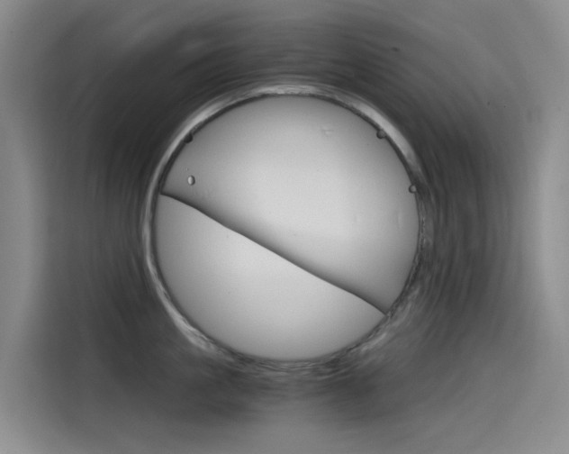X0000114590861200910191033