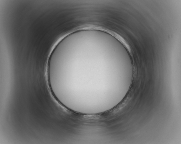 X0000114590863200910191033