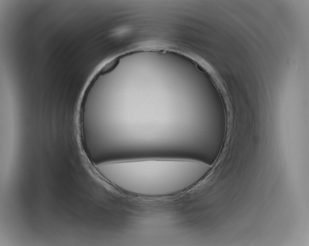 X0000114590864200910191033