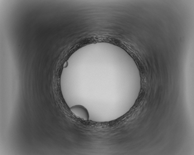X0000114590865200910191032