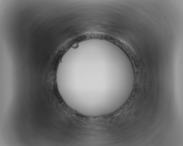 X0000114590870200910191032