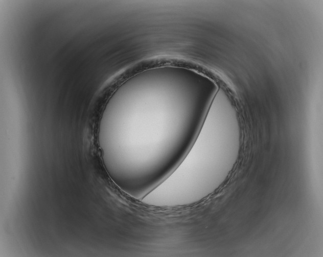 X0000114590872200910191032