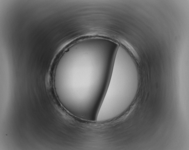 X0000114590876200910191032