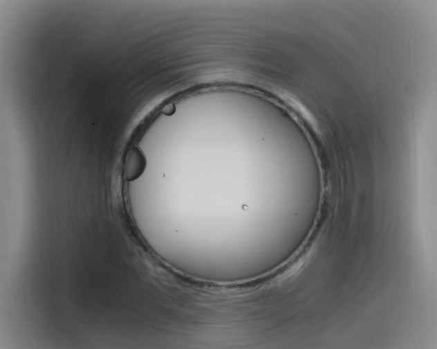 X0000114590877200910191032