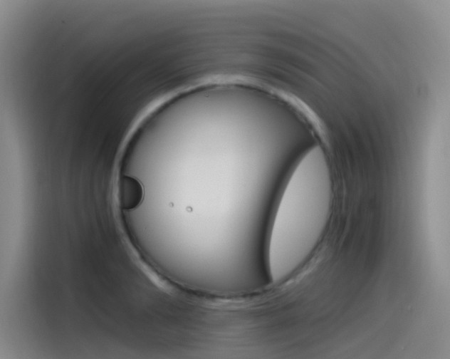X0000114590894200910191032