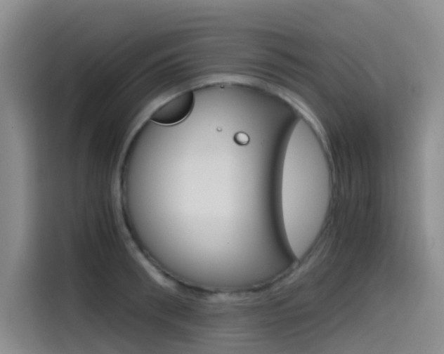 X0000114590898200910191031
