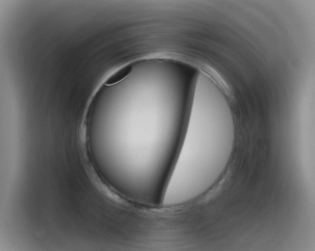 X0000114590900200910191031