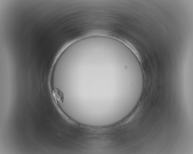 X0000114590901200910191031