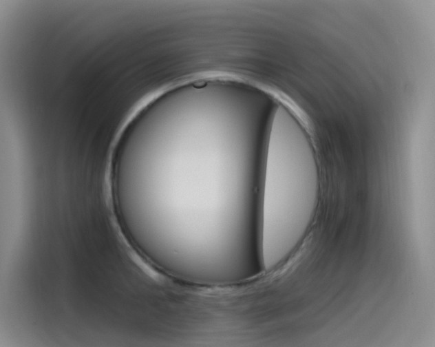 X0000114590902200910191031
