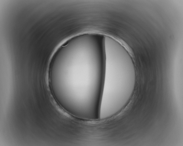 X0000114590904200910191031