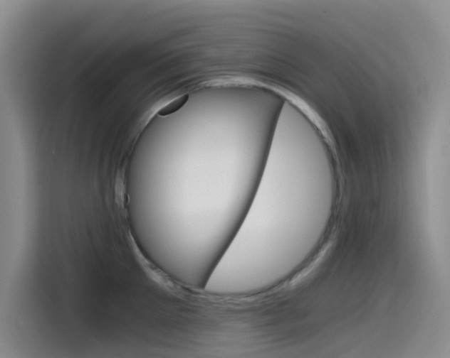 X0000114590905200910191031