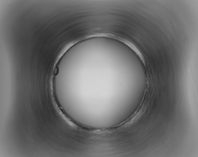 X0000114590906200910191031