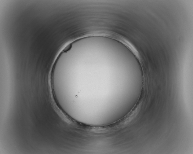 X0000114590907200910191031