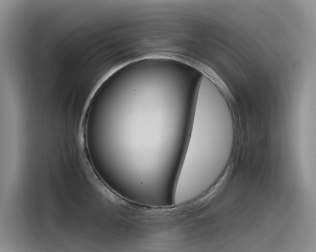X0000114590908200910191031