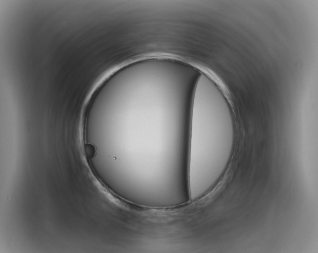 X0000114590910200910191031