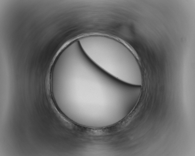 X0000114590911200910191031