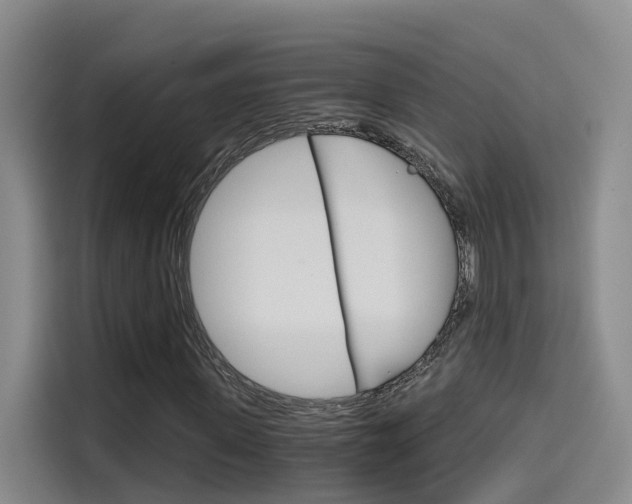 X0000114590915200910191031