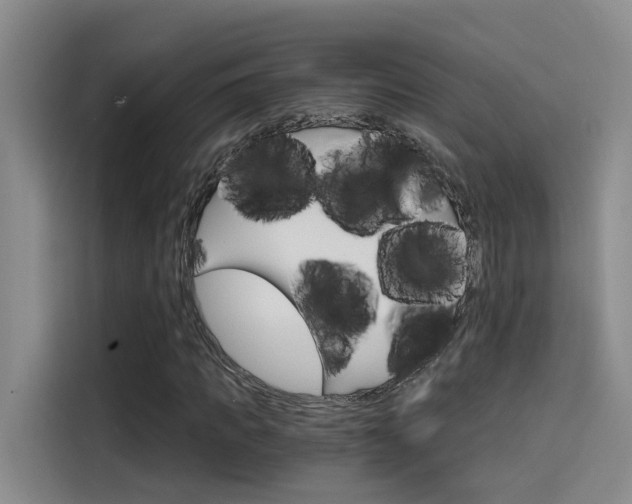 X0000114590917200910191031