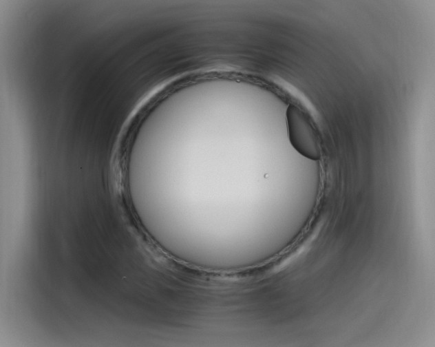 X0000114590925200910191031