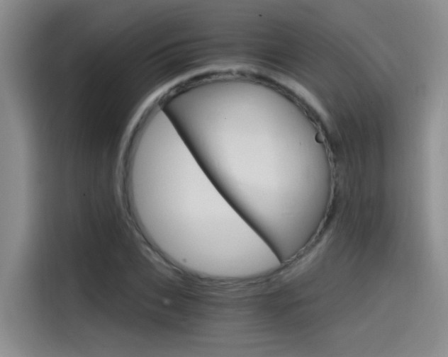 X0000114590927200910191031