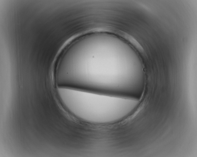 X0000114590934200910191031