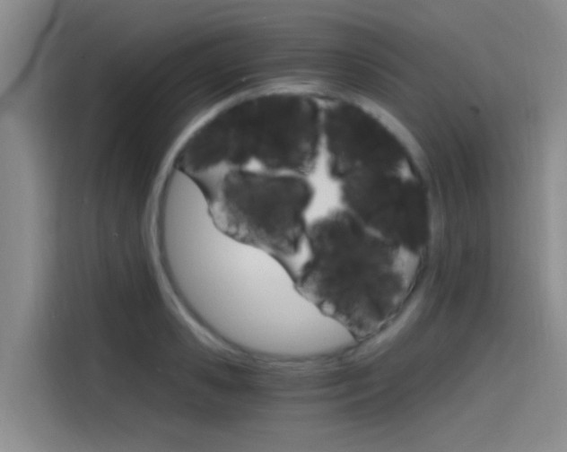 X0000114590941200910191031
