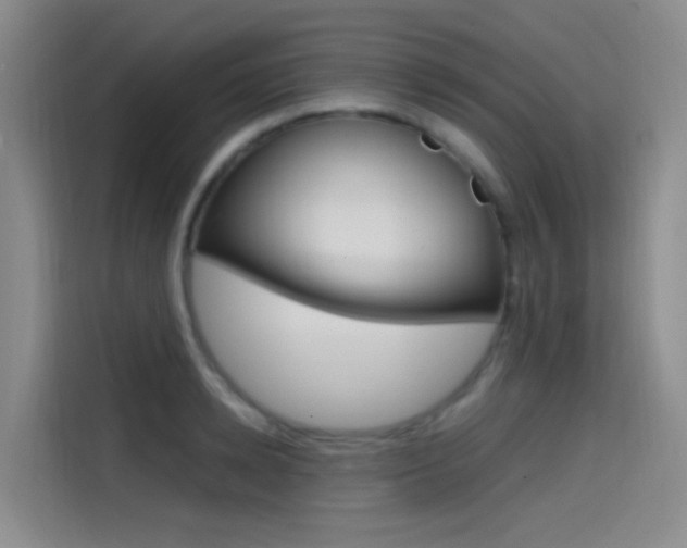 X0000114590942200910191031