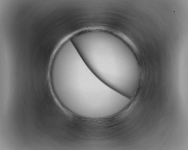 X0000114590943200910191031