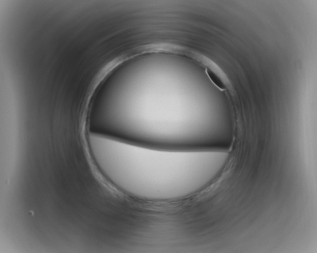 X0000114590946200910191031