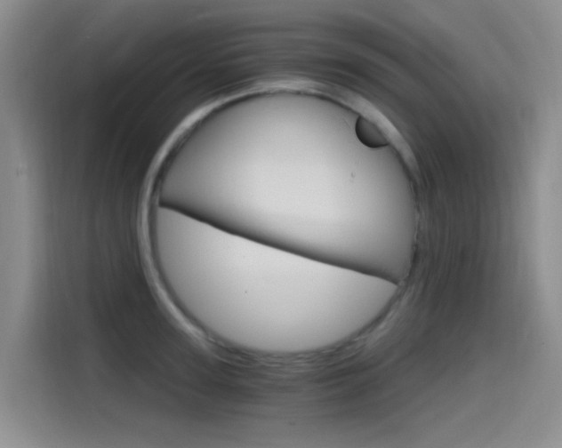 X0000114590947200910191031