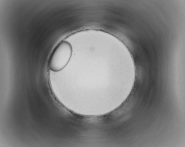 X0000114590950200910191031