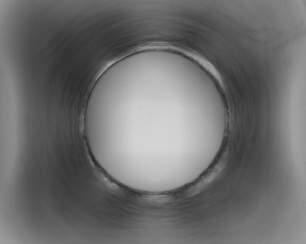 X0000114590953200910191031