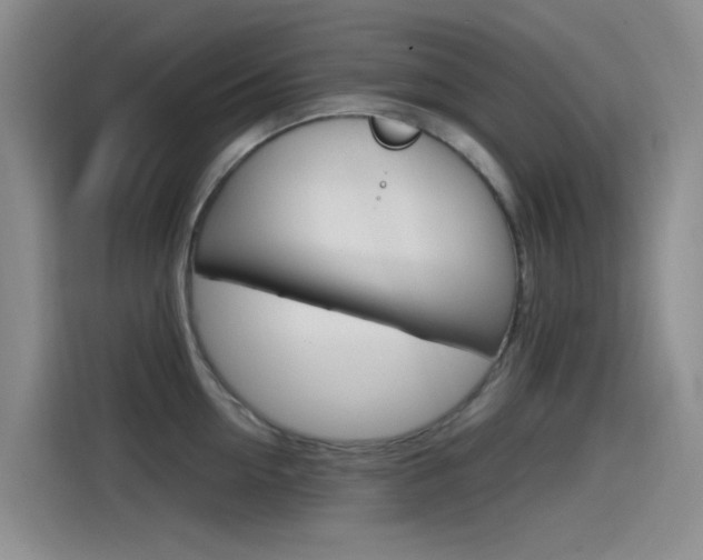 X0000114590954200910191031