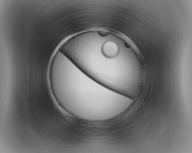 X0000114590955200910191031