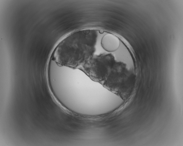 X0000114590957200910191031