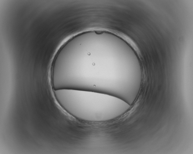 X0000114590958200910191031