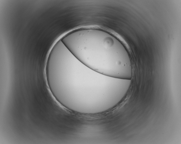 X0000114590959200910191031