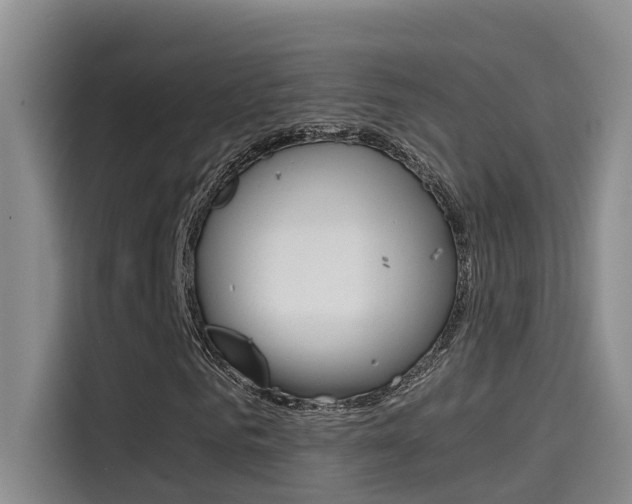 X0000114590961200910191031