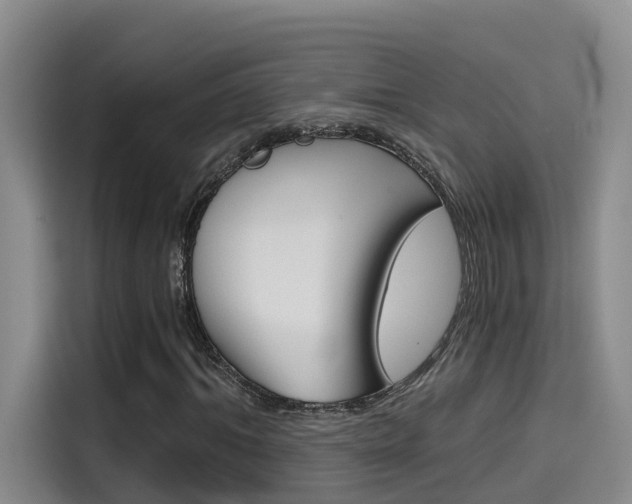X0000114590964200910191031
