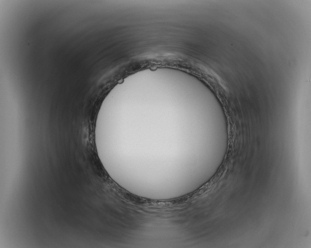 X0000114590966200910191031